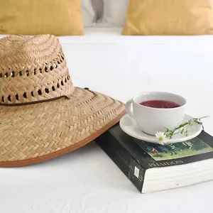 Casa Del Artista - Playa del Carmen